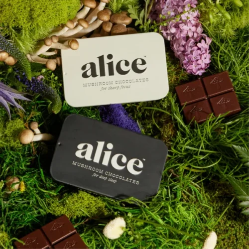 alice